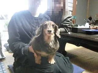 カニンヘンダックス：リンカちゃんが里帰り…