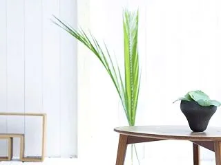 良品計画（7453）の株主優待｜無印良品…