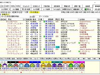  神無月ステークス ２０２６ 予想