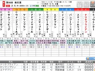 第８７回菊花賞を頂く③