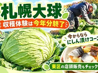 札幌大球のオーナー募集2026｜にしん漬…