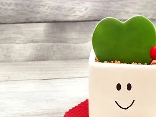 ◎願いを叶えてしあわせになるための数秘カ…