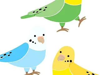 鳥を飼った事は