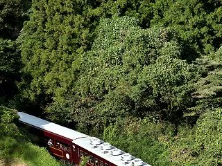 緑の山あいの棚田を