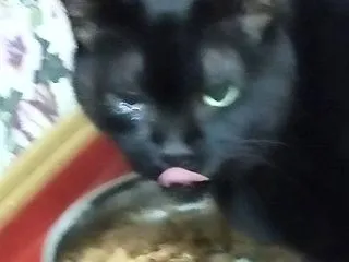手芸は楽しいね