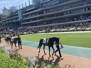 3冠なるか？菊花賞
