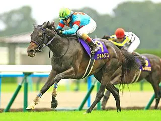 【菊花賞・神無月ステークス・ルミエールオ…