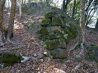 第555回：龍野古城（龍野赤松氏の支配拠…
