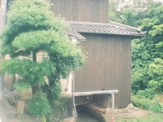 Diana Miniで撮った水間鉄道の旅…