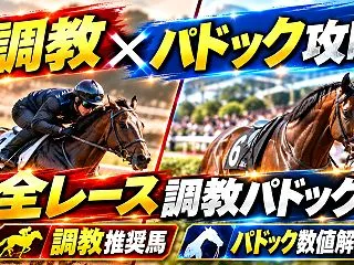 10月25日全レースの調教パドック評価