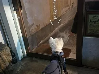 揚げたてドーナツの魅力