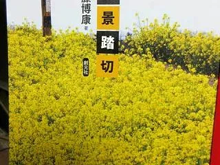 「日本珍景踏切」