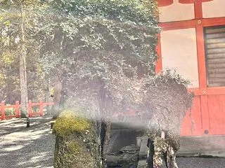 好評❗️第３弾 霊能力者と行く『ときめき…