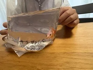 妻の検査と大泉のペンギンビレッジへ。(2…