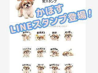40個かぼすだらけのLINEスタンプでま…