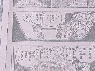 ネフェルタリ・リリィとエルバフの関係｜ワ…