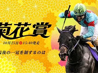 無料予想【菊花賞2026】