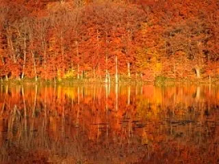 青森の紅葉・これから行くとしたら【青森旅…