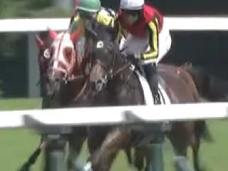 2026年10月25日 東京競馬予想