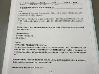 ちーたん、募集開始しました！