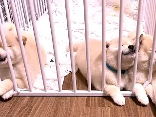 心から安心して