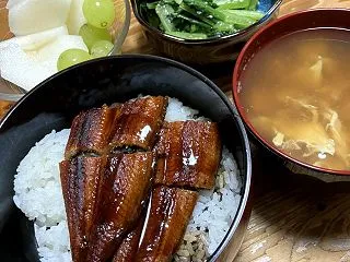 休養日。