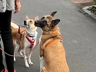嬉し楽しい1日を！