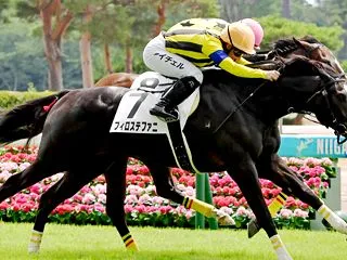 土曜日のWIN5対処レース予想
