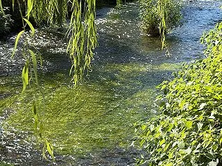 緑に包まれると、どんな気持ちに？