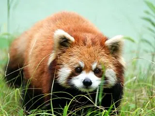 千葉市動物公園 202609 68
