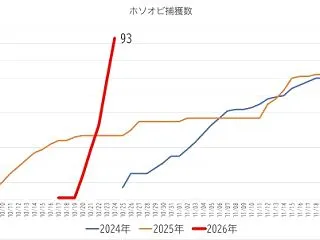 なんかやばくない？