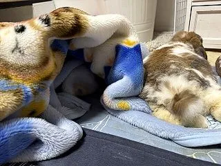 災難続き・すねすねまーくん＆すごく可愛い…
