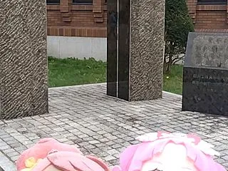 その2556。函館高専の高専祭2026 …