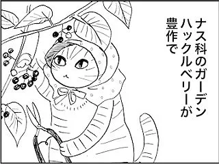ガーデンハックルベリーとれすぎ