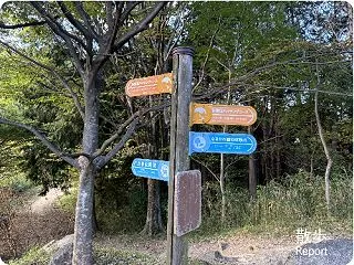 秋の週末裏山散歩4