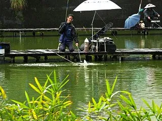 21.6℃曇り空で時々雨の降る一日。午前…