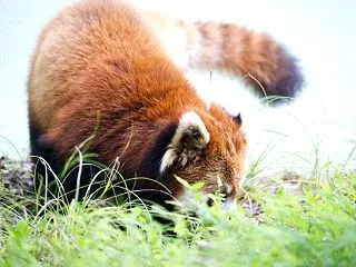 千葉市動物公園 202609 69