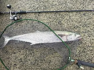 道のりはとても長いです