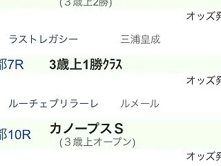 日曜の出走 2026年 菊花賞(GⅠ)
