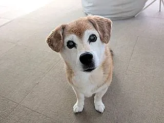 今日のおかーさんのソロ活は、推し活。