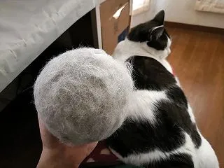 ふう玉