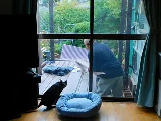 雨でも頑張るDIY 文句を言う私