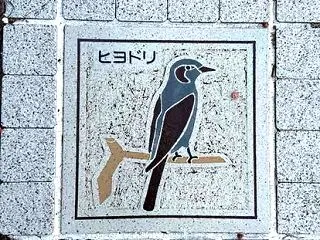 妄想 ヒヨドリの歩道タイル ヒヲドリ