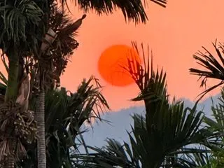 ゆーほーが現れて電波乱れてます‼️パラオ…