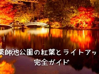 薬師池公園の紅葉とライトアップ完全ガイド…