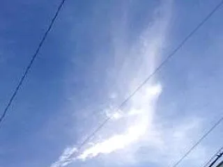 今日の1枚
