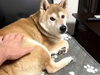 昼間のほうが寒かった雨の一日