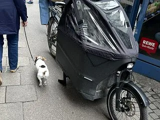 ■ドイツの子供を乗せる自転車がすばらしす…
