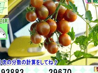［う山先生の分数］【算数・数学】１１４７…