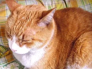 天気急変で寒い一日！！家で雑用をこなして…